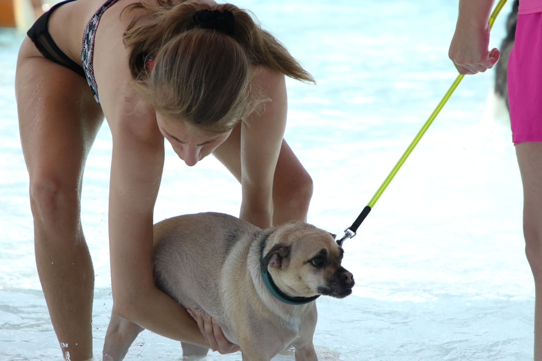 Dogs at the pool (3).JPG